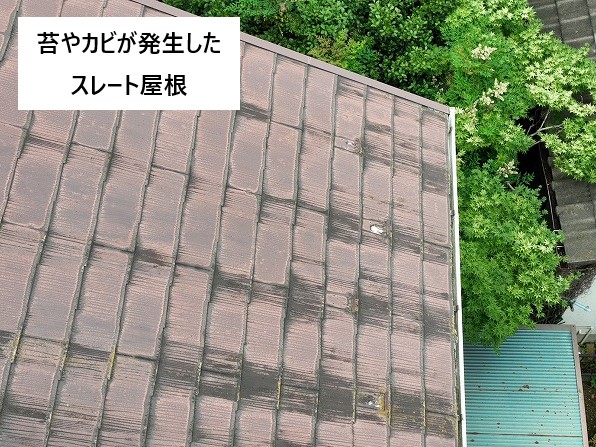 苔・カビが発生したスレート屋根