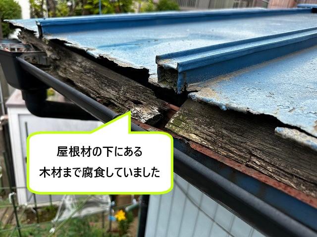屋根材下の木材の腐食