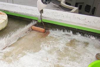 下地に柄図マットを施工